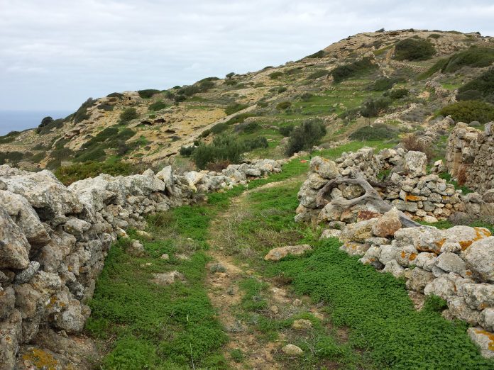 Kαθαρισμός μονοπατιού Κεφαλές-Κάστρο (8-12-13)