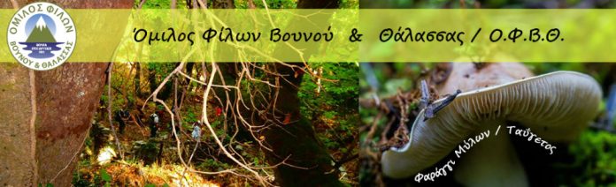 O όμιλος φίλων βουνού και θάλασσας Βούλας επισκέπτεται το νησί μας