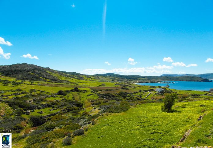 Σήμανση των μονοπατιών 2 και 3 (26/12)