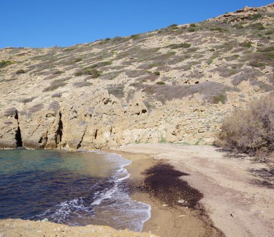 Πρόσκληση για εθελοντική συμμετοχή και αμειβόμενη συμμετοχή σε καθαρισμό των παραλιών Βρουλίδι και Θέρμα