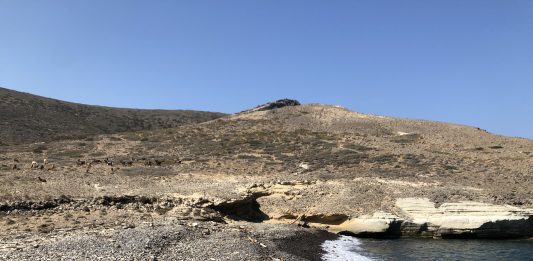 Ολοκλήρωση καθαρισμού παραλίας Γιωνή