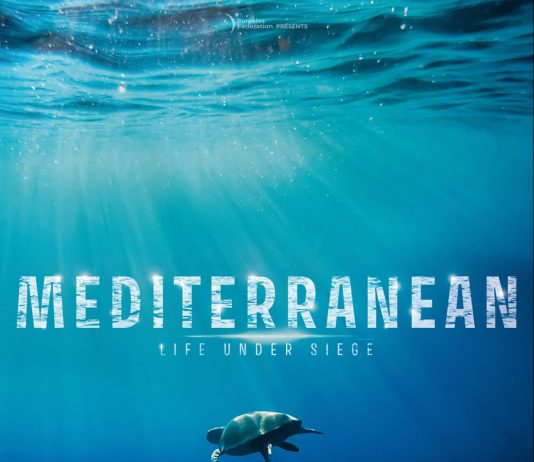 O Cine Καλησπερίτης σας περιμένει για μια μοναδική προβολή αύριο Παρασκευή 26 Αυγούστου 2022, στην παραλία “Κλήμα” , με το ντοκιμαντέρ “Μεσόγειος-Η πολιορκημένη Θάλασσα”