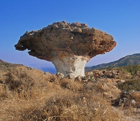 Απογευματινή πεζοπορία στο Σκιάδι Κυριακή 14/7/24 στις 18:30 μ.μ